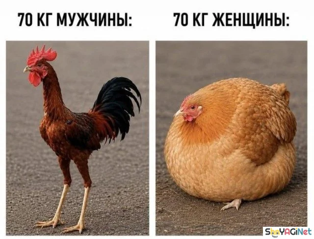 Он и Она: 17 картинок о вечной разнице мужчины, женщины, юмор, картинки, приколы, отношения, подборка