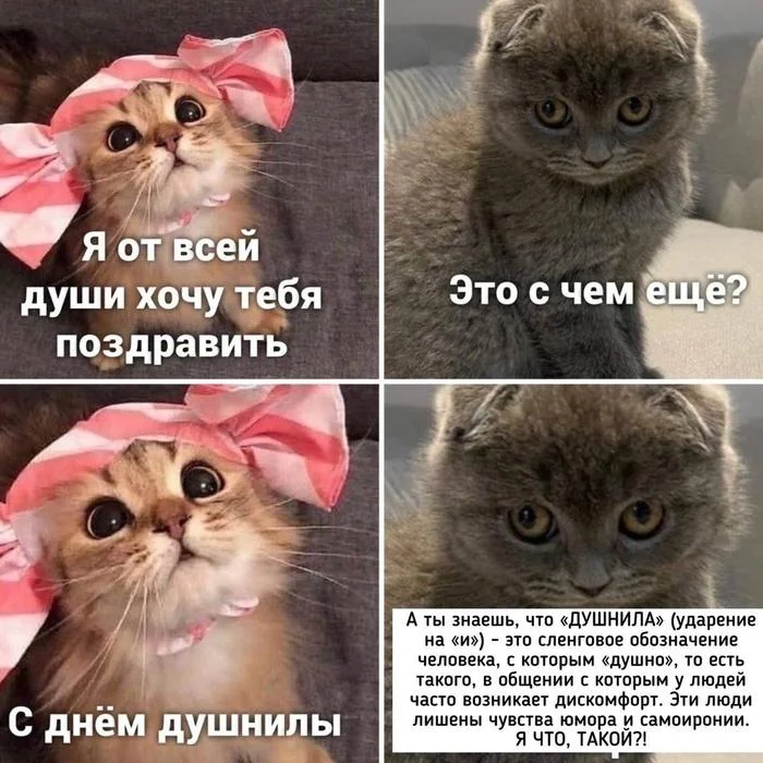 Мемы про зануд и душнил: когда объясняют очевидное мемы, зануды, душнилы, юмор, картинки, приколы