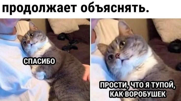 Мемы про зануд и душнил: когда объясняют очевидное мемы, зануды, душнилы, юмор, картинки, приколы