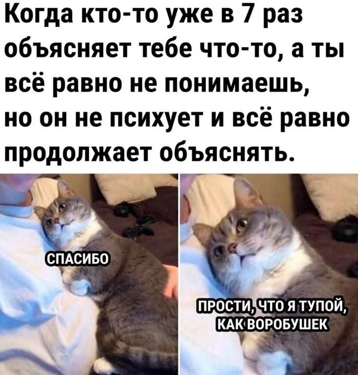 Мемы про зануд и душнил: когда объясняют очевидное мемы, зануды, душнилы, юмор, картинки, приколы
