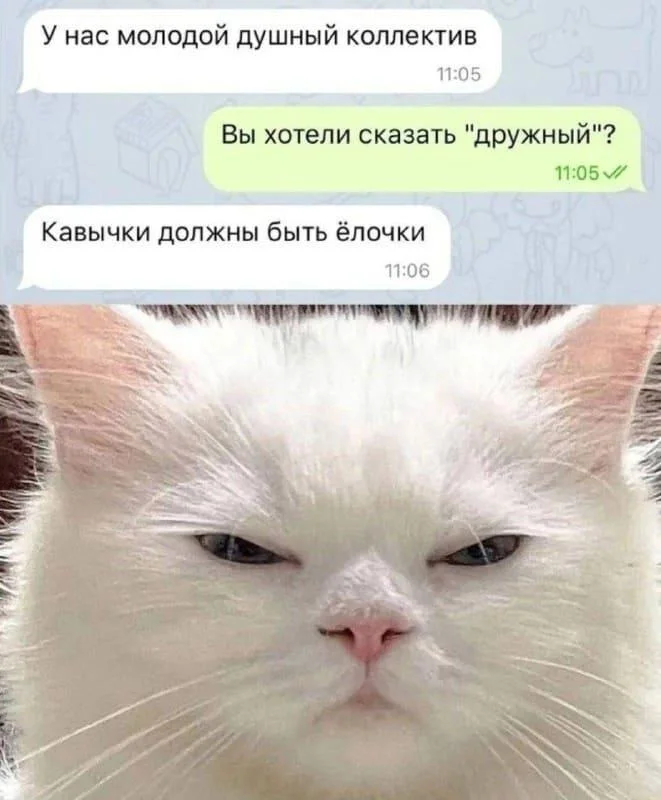 Мемы про зануд и душнил: когда объясняют очевидное мемы, зануды, душнилы, юмор, картинки, приколы