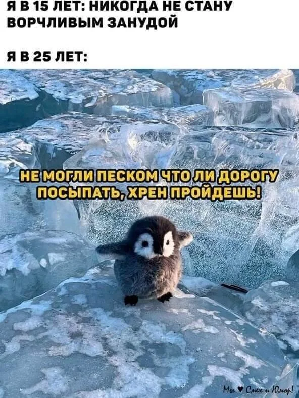 Мемы про зануд и душнил: когда объясняют очевидное мемы, зануды, душнилы, юмор, картинки, приколы