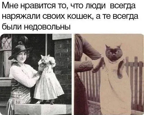 Мемы на 8 октября: король, единороги и качалка мемы, юмор, картинки, подборка, утро, качалка