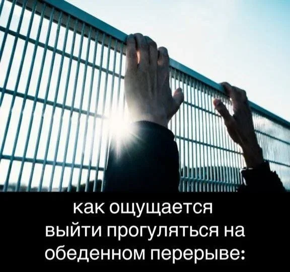 Мемы на 8 октября: король, единороги и качалка мемы, юмор, картинки, подборка, утро, качалка