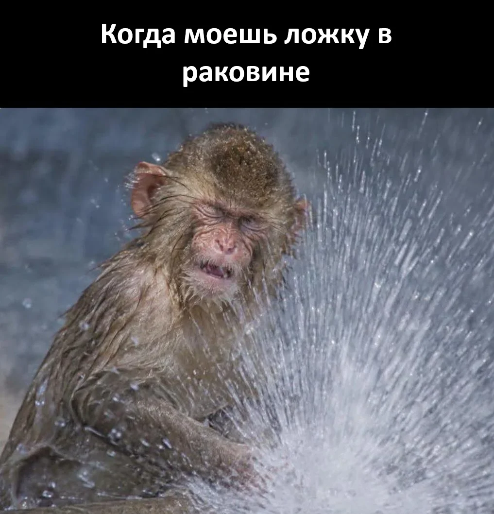 Ура, пятница! Мемы для тех, кто дожил мемы, пятница, юмор, приколы, картинки, работа, офис