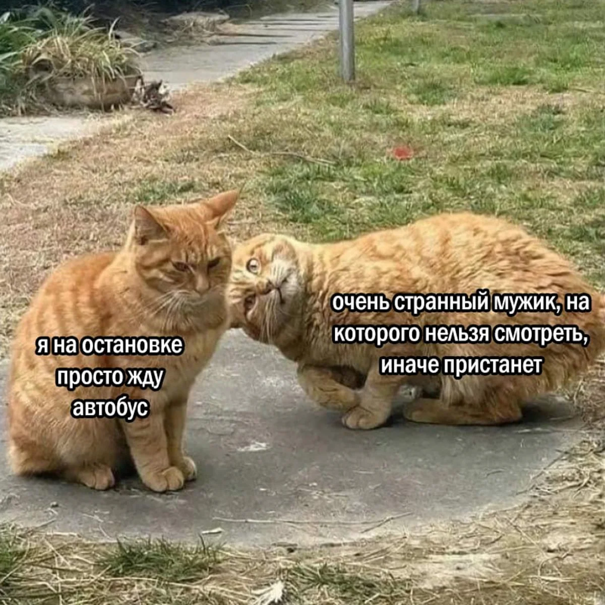 Ура, пятница! Мемы для тех, кто дожил мемы, пятница, юмор, приколы, картинки, работа, офис