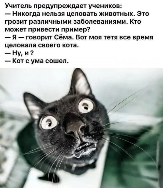 Семейный вопрос решается не перестановкой Семейный вопрос решается не перестановкой юмор, семья, картинки, приколы, отношения