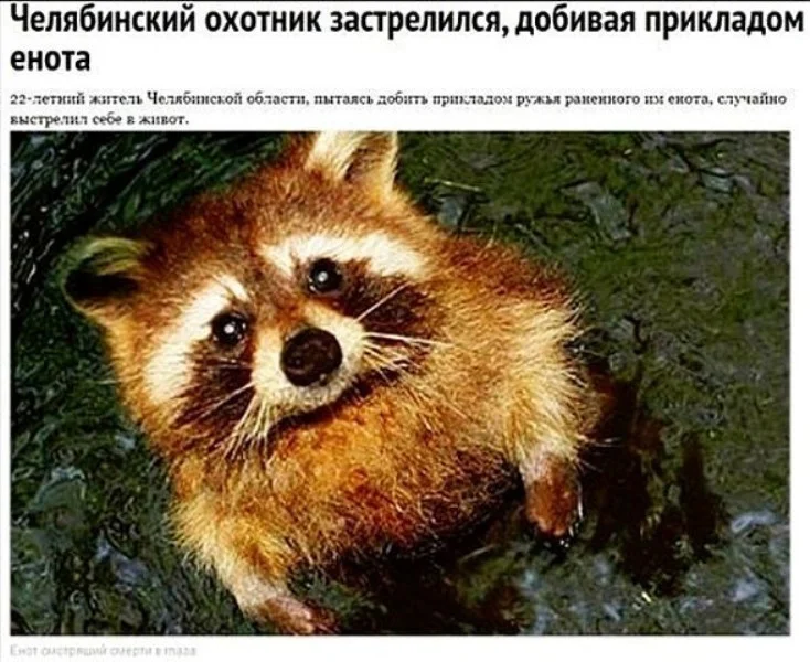 Семейный вопрос решается не перестановкой Семейный вопрос решается не перестановкой юмор, семья, картинки, приколы, отношения