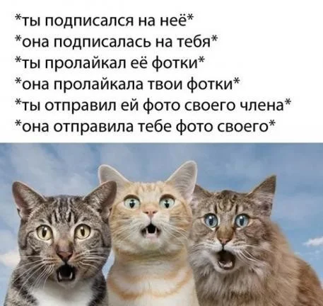Семейный вопрос решается не перестановкой Семейный вопрос решается не перестановкой юмор, семья, картинки, приколы, отношения