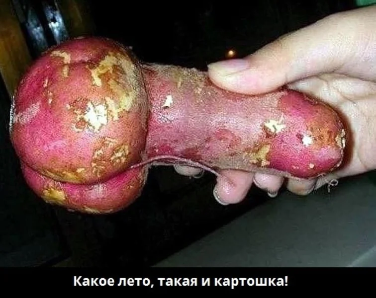 Семейный вопрос решается не перестановкой Семейный вопрос решается не перестановкой юмор, семья, картинки, приколы, отношения