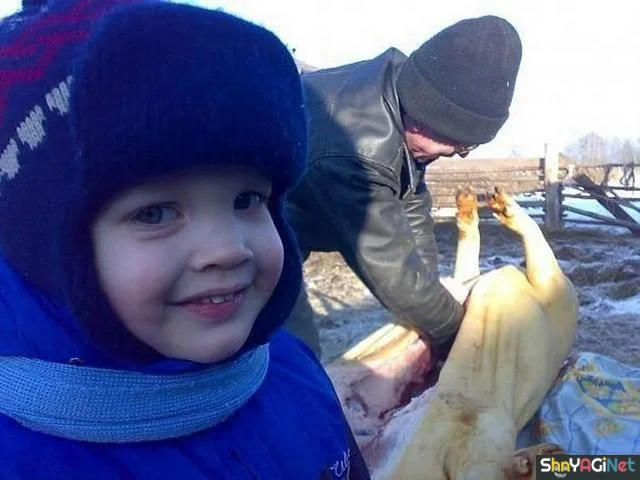 Деревенский юмор: убойная подборка приколов Деревенский юмор: убойная подборка приколов деревня, юмор, приколы, картинки, самогонка, навоз, сельская жизнь