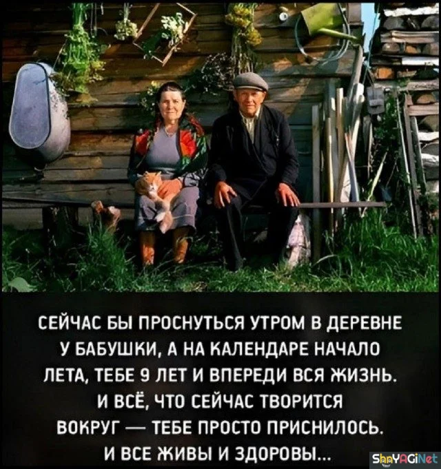 Деревенский юмор: убойная подборка приколов Деревенский юмор: убойная подборка приколов деревня, юмор, приколы, картинки, самогонка, навоз, сельская жизнь