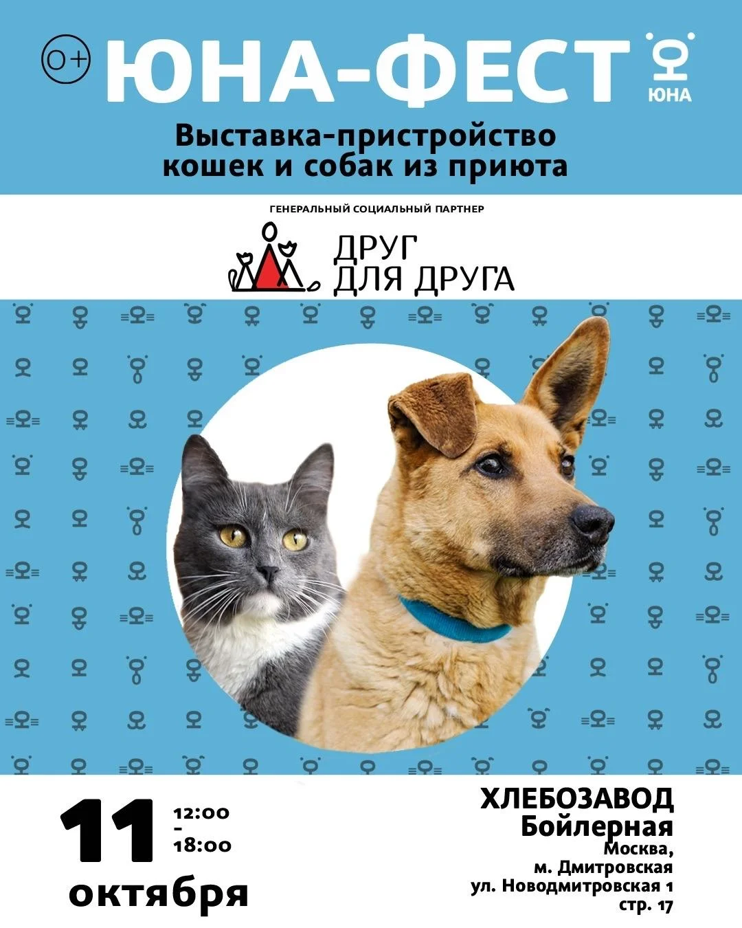 Пёс Рубик и кошка Зорька ищут дом на Юна-фесте приют, животные, Москва, фестиваль, собаки, кошки