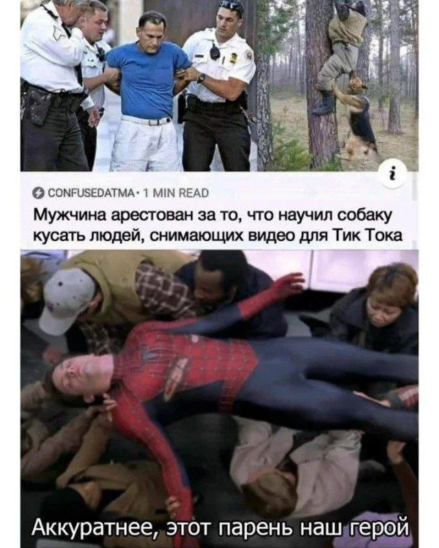 Жизнь в мемах: от быта до катастроф мемы, юмор, повседневность, быт, картинки