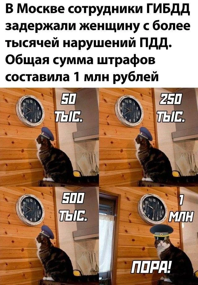 Жизнь в мемах: от быта до катастроф мемы, юмор, повседневность, быт, картинки