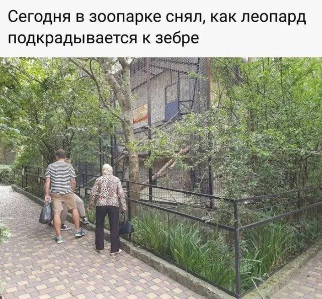 Жизнь в мемах: от быта до катастроф мемы, юмор, повседневность, быт, картинки