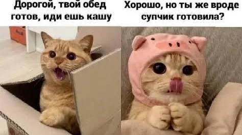 Каша, которая взорвала интернет: мемы про еду