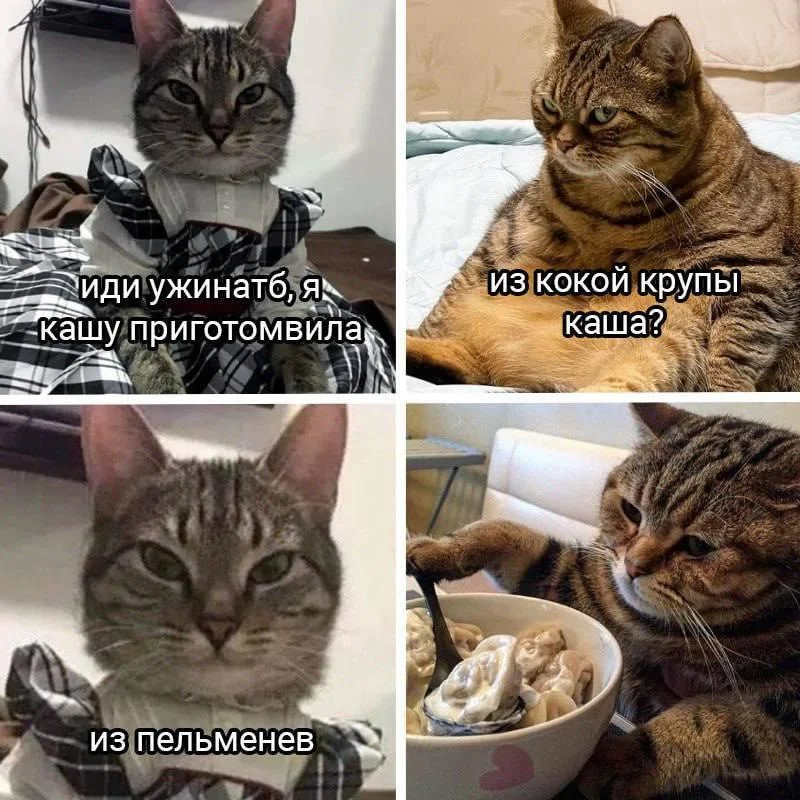 Каша, которая взорвала интернет: мемы про еду мемы, каша, юмор, картинки, гречка, манка