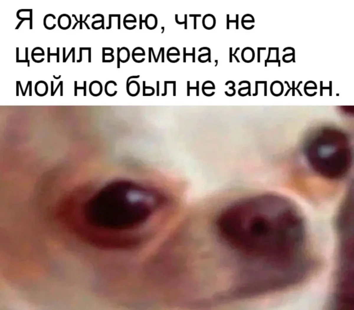 Мемы, которые бьют прямо в цель юмор, мемы, картинки, шутки, подборка