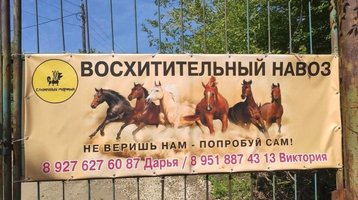 Смех до слёз: 15 картинок недели