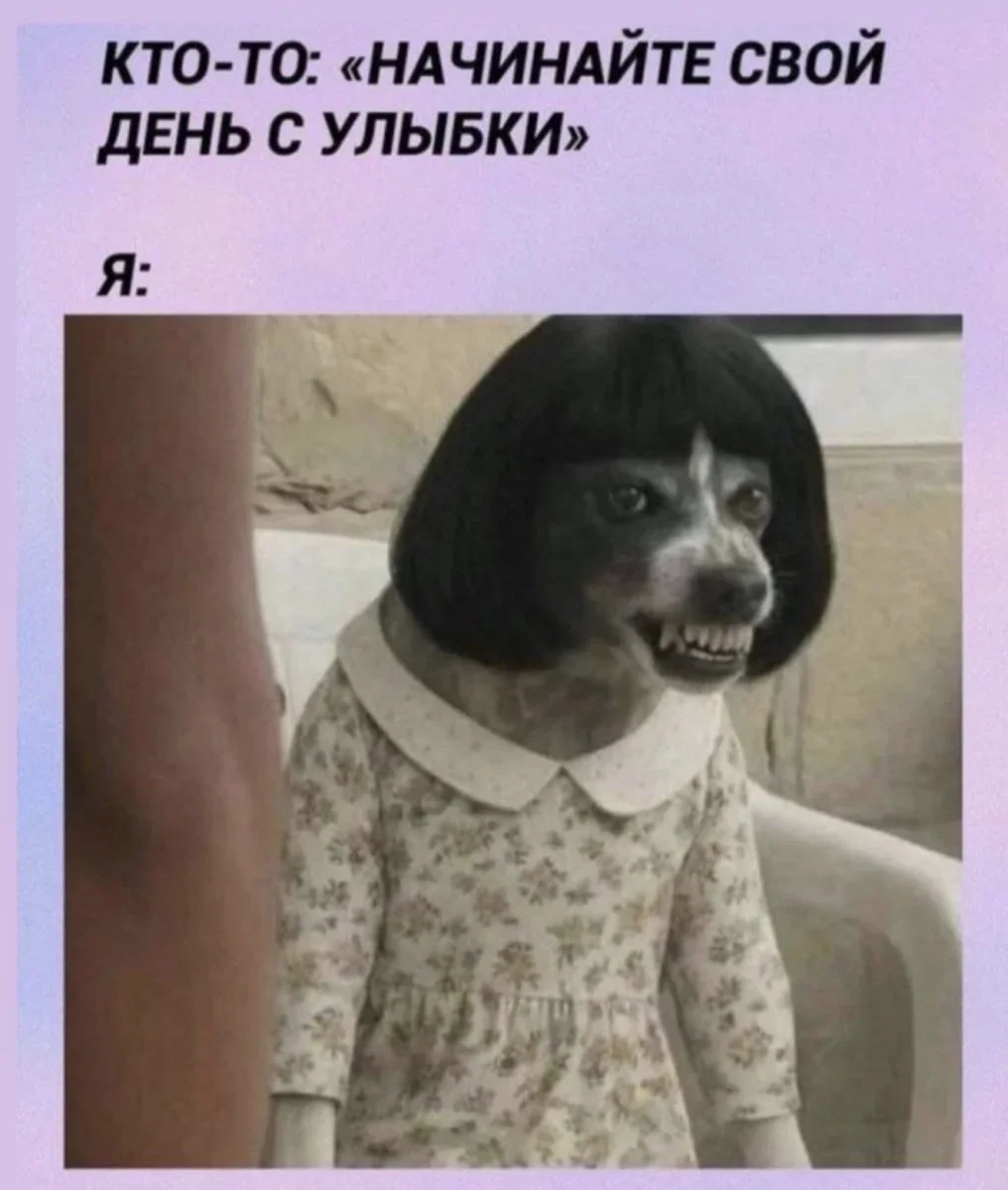 Воскресный юмор: заряжаемся позитивом юмор, мемы, картинки, воскресенье, подборка