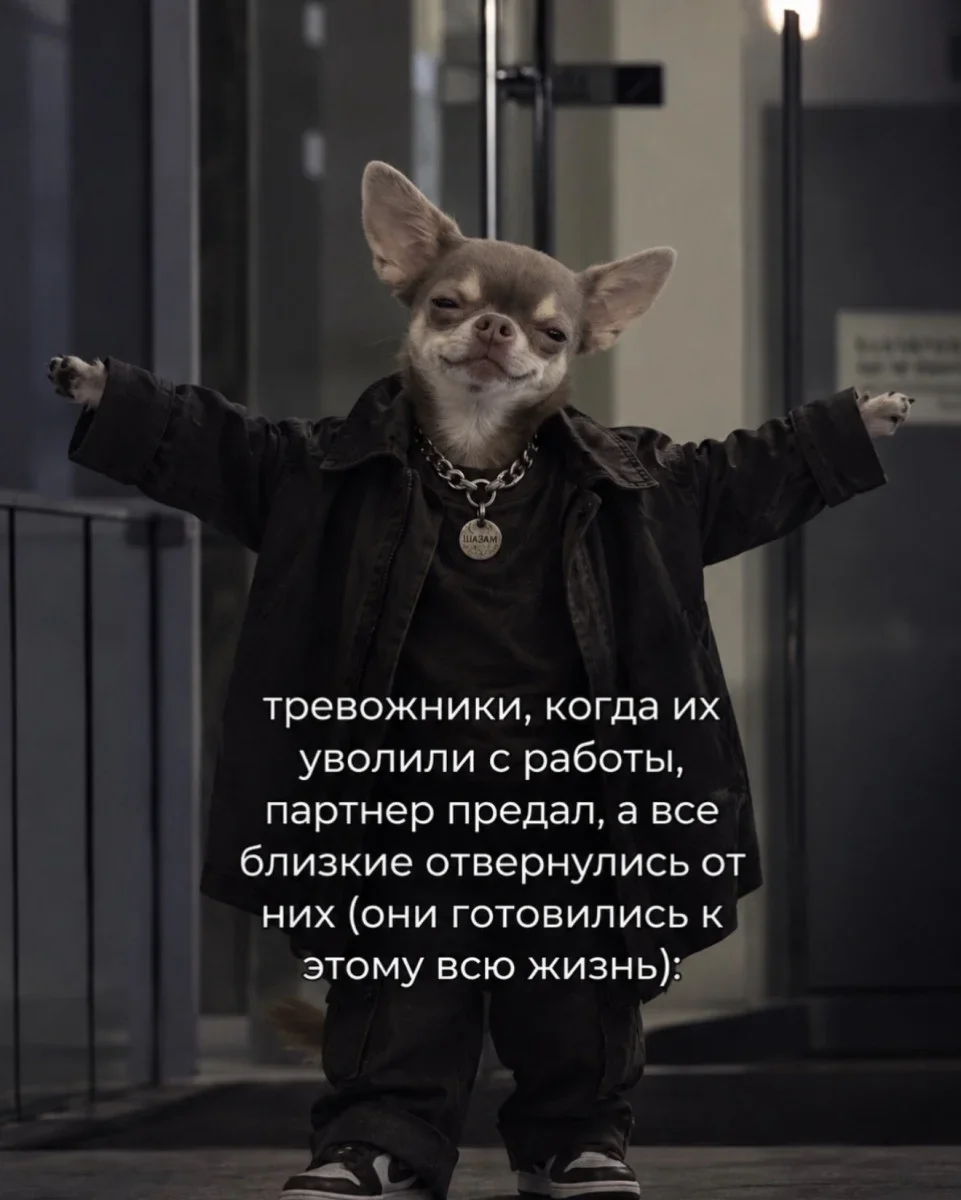 Воскресный юмор: заряжаемся позитивом юмор, мемы, картинки, воскресенье, подборка