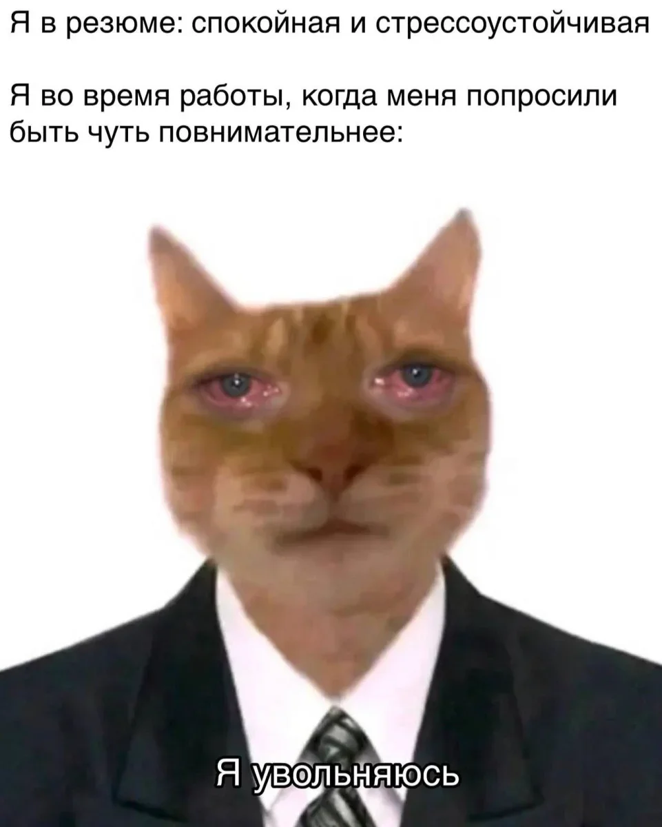 Мемы на понедельник: 30 картинок для хорошего настроения мемы, юмор, картинки, подборка, приколы