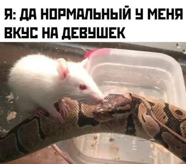 Улыбнись: мемы и приколы без повода мемы, приколы, картинки, юмор, подборка