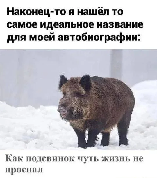 Мемы, которые спасут твой день мемы, юмор, приколы, картинки, позитив