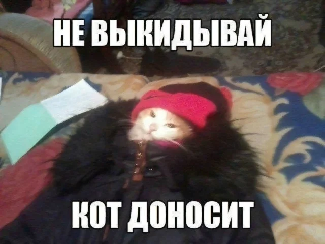 Мемы, которые спасут твой день мемы, юмор, приколы, картинки, позитив