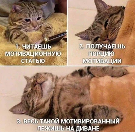 Улыбнись! Подборка мемов, которая прогонит хандру мемы, юмор, позитив, подборка, картинки