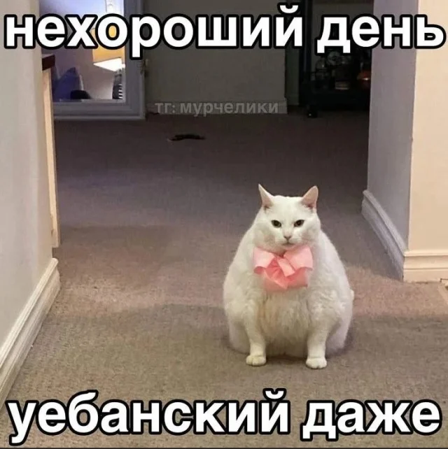 Улыбнись! Подборка мемов, которая прогонит хандру мемы, юмор, позитив, подборка, картинки