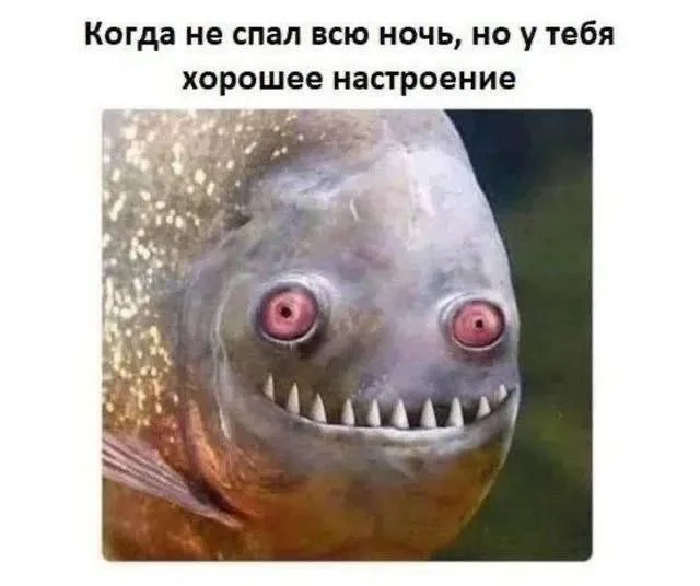 Улыбнись! Подборка мемов, которая прогонит хандру мемы, юмор, позитив, подборка, картинки