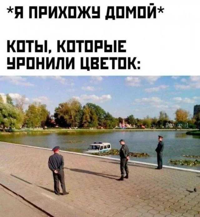 Улыбнись! Подборка мемов, которая прогонит хандру мемы, юмор, позитив, подборка, картинки