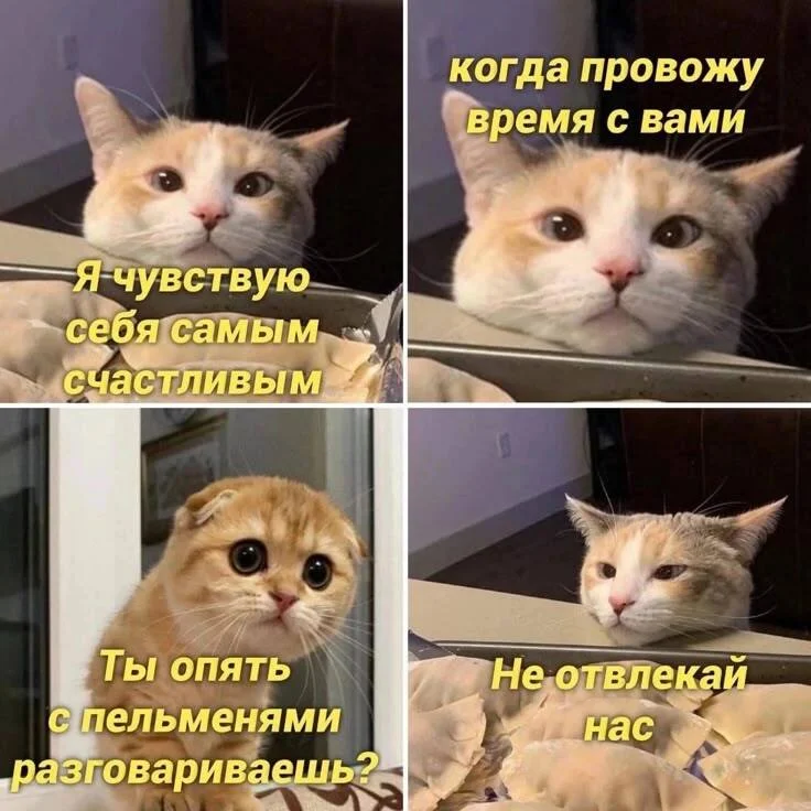 Улыбнись! Подборка мемов, которая прогонит хандру мемы, юмор, позитив, подборка, картинки