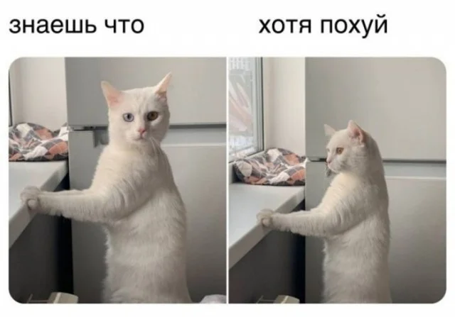 Улыбнись! Подборка мемов, которая прогонит хандру мемы, юмор, позитив, подборка, картинки