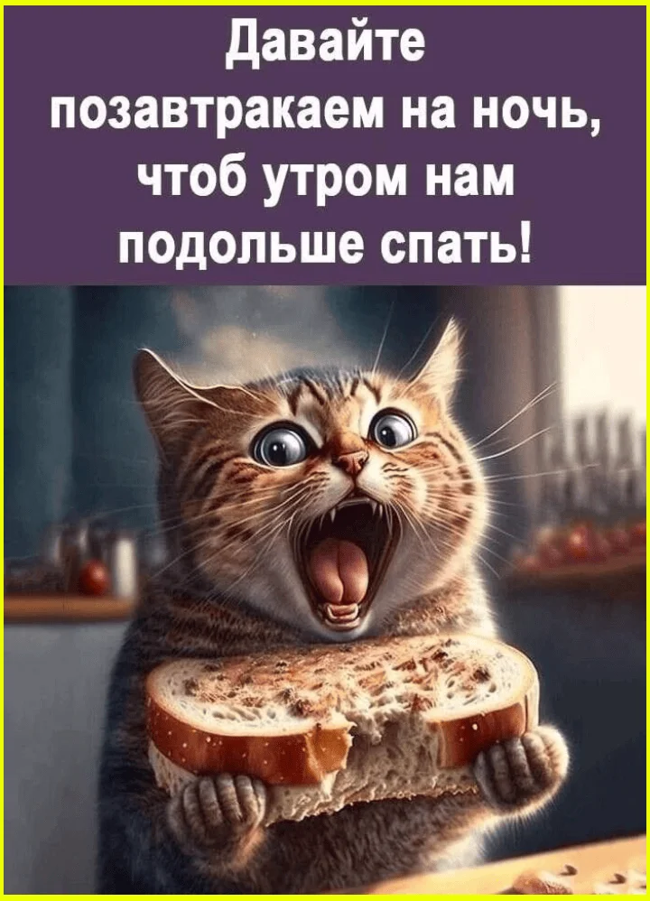 Посуда не развешивается — и это решает всё посудомойка, стиралка, юмор, картинки, приколы, быт