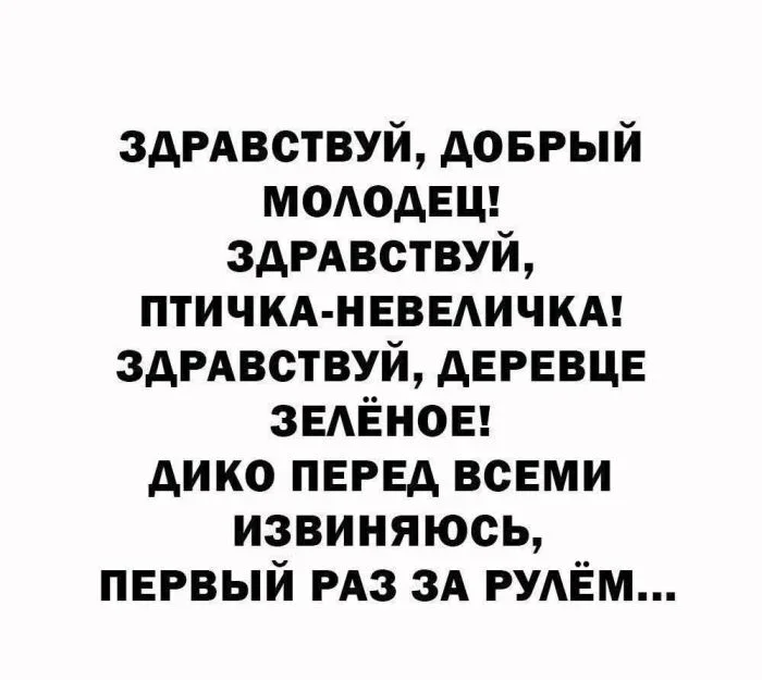 Мемы на 13 октября: коммуналка и Чехословакия