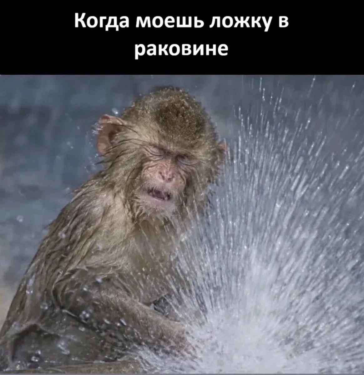 Когда врёшь себе с умом мемы, юмор, картинки, самообман, шутки