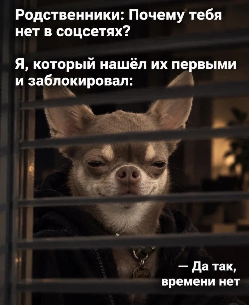 Когда врёшь себе с умом мемы, юмор, картинки, самообман, шутки