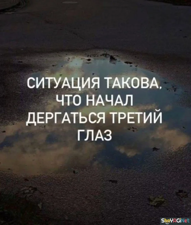 Это про меня! Цитаты, которые читают мысли цитаты, подборка, высказывания, афоризмы, жизнь