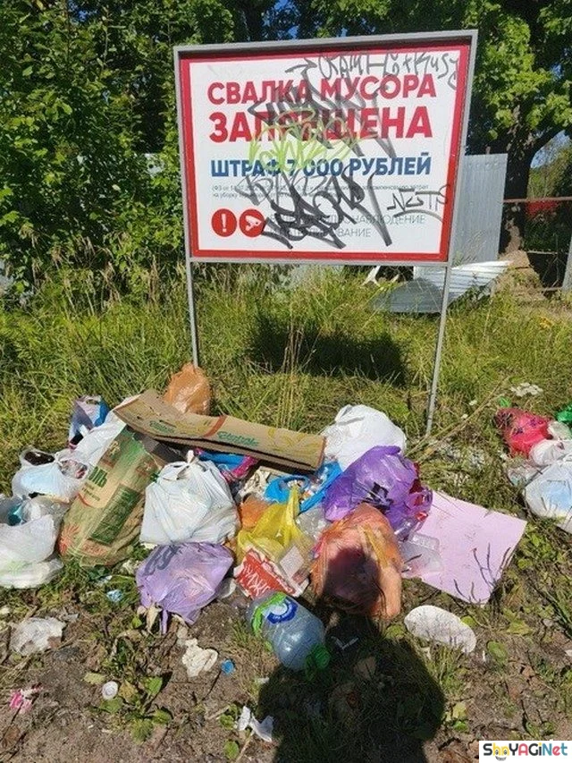 Шикардятина! Народный юмор без купюр Шикардятина! Народный юмор без купюр приколы, юмор, картинки, мемы, Россия