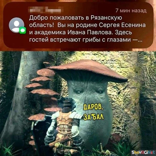 Шикардятина! Народный юмор без купюр Шикардятина! Народный юмор без купюр приколы, юмор, картинки, мемы, Россия