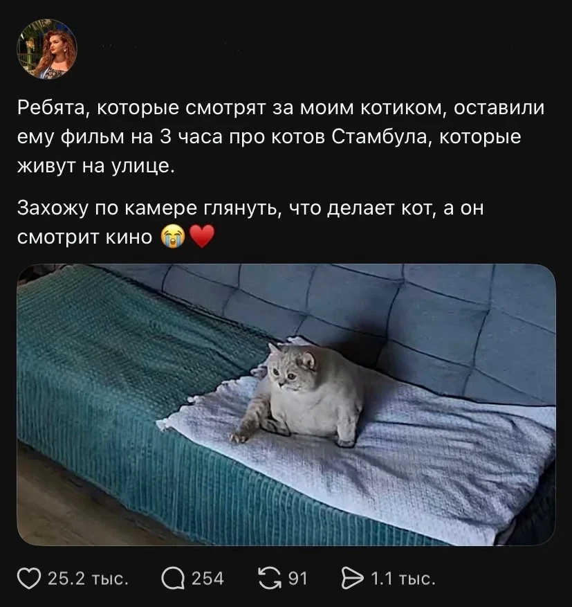 Утро среды: мемы, которые вы не просили юмор, мемы, картинки, приколы, среда