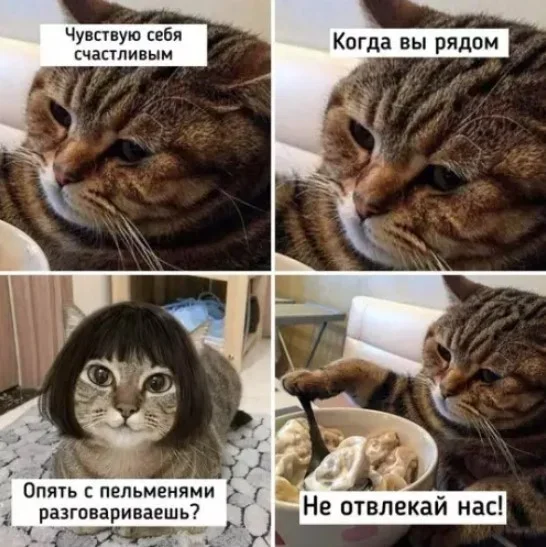 Утро среды: мемы, которые вы не просили юмор, мемы, картинки, приколы, среда