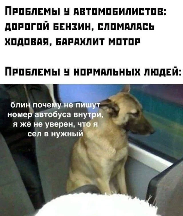 15 картинок, которые поднимут настроение 15 картинок, которые поднимут настроение мемы, юмор, картинки, смешное, подборка