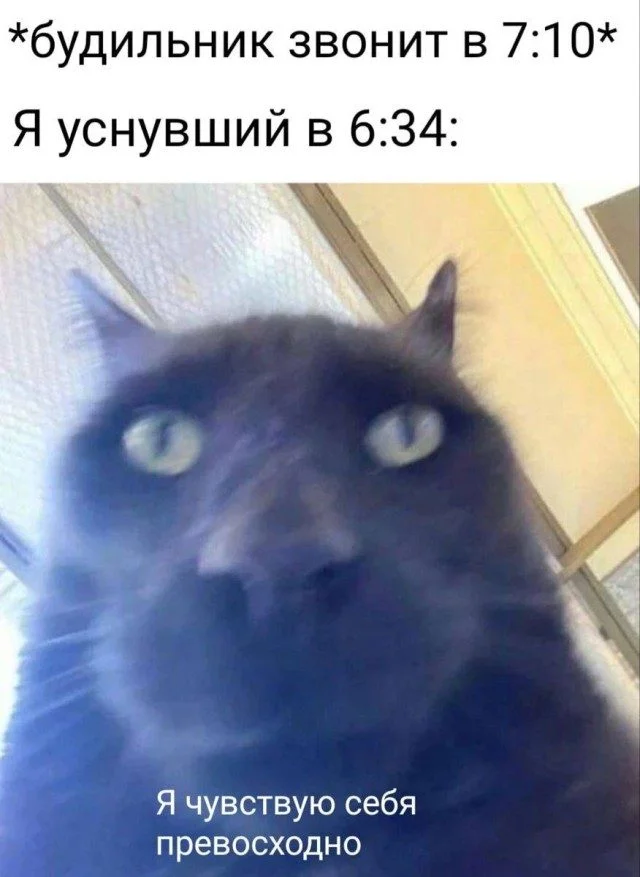 15 картинок, которые поднимут настроение 15 картинок, которые поднимут настроение мемы, юмор, картинки, смешное, подборка