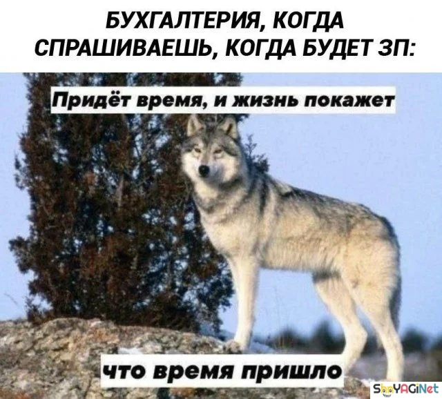 Рабочие перлы: 20 снимков, от которых хочется смеяться Рабочие перлы: 20 снимков, от которых хочется смеяться приколы, работа, юмор, фото, офис