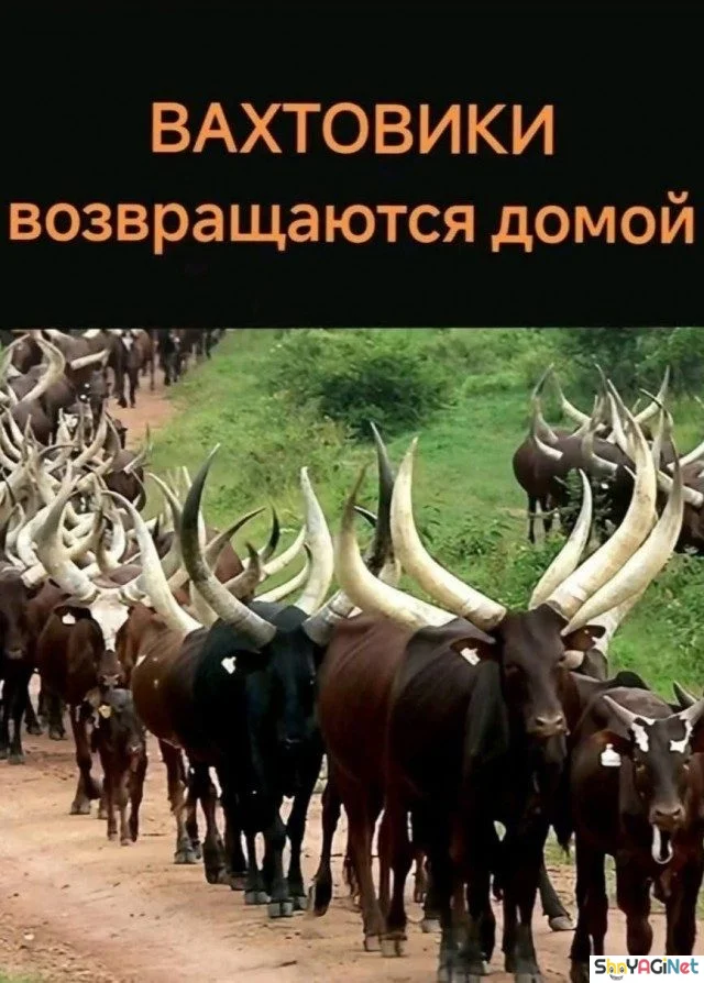Рабочие перлы: 20 снимков, от которых хочется смеяться Рабочие перлы: 20 снимков, от которых хочется смеяться приколы, работа, юмор, фото, офис