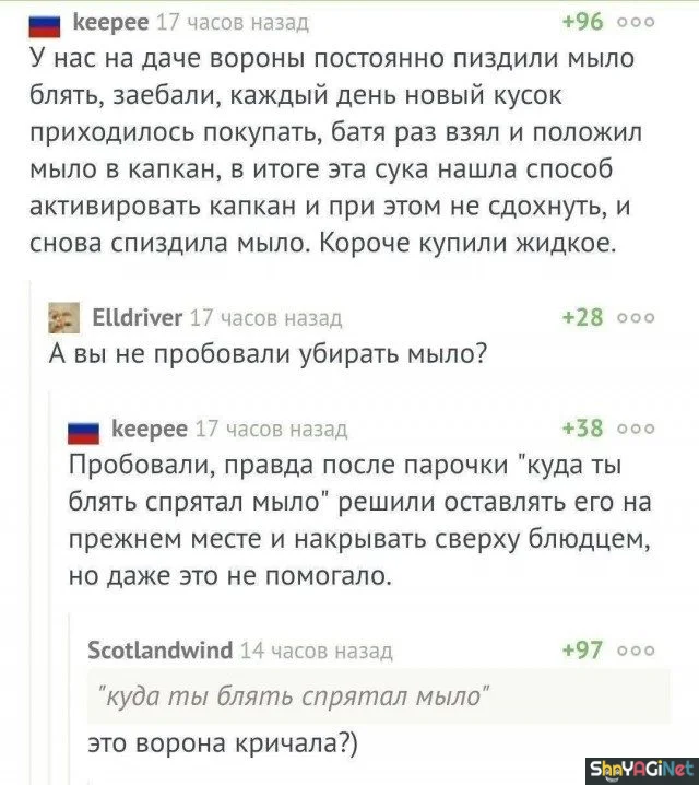 25 хитов из соцсетей: комментарии, которые взорвали интернет 25 хитов из соцсетей: комментарии, которые взорвали интернет комментарии, соцсети, юмор, подборка, приколы, хиты